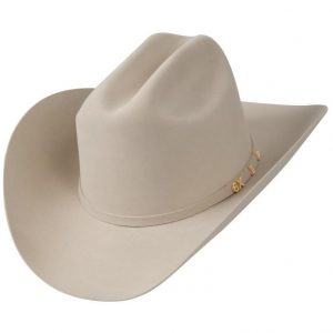 6x Stetson Skyline Fur Felt Cowboy Hat Silver Gray