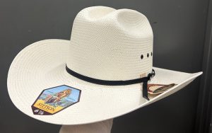 STETSON SPARTAN 81 10X BK EVE